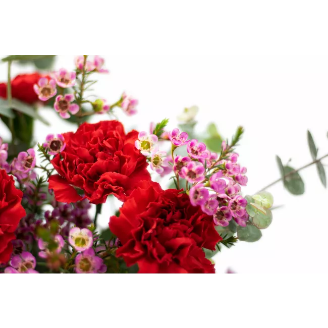 Bouquet of red carnations